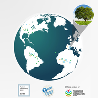 Plant a Tree in Your Name (Location Map + Certificate Included)